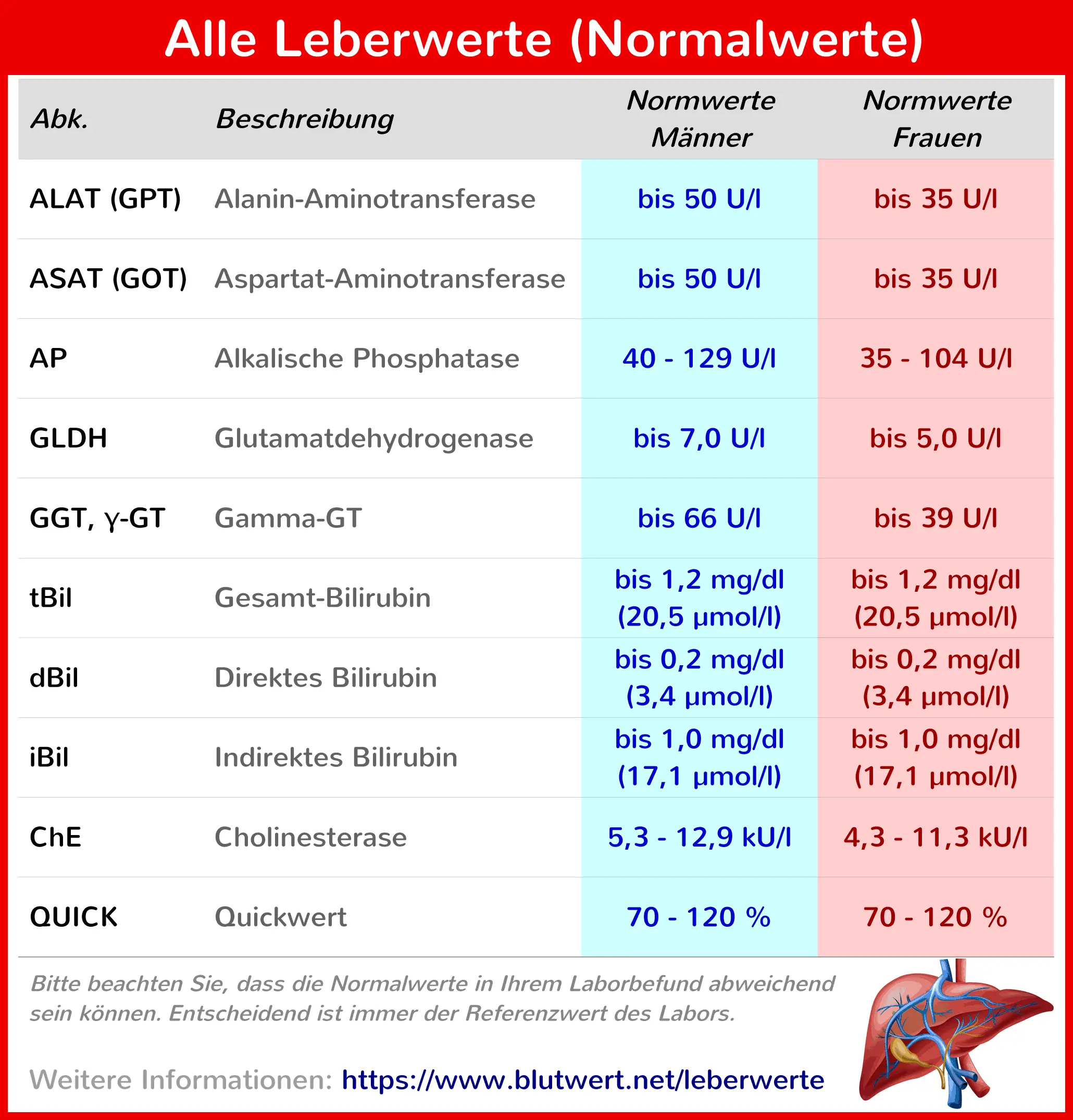 hohe leberwerte nach geburt - Können erhöhte Leberwerte wieder sinken