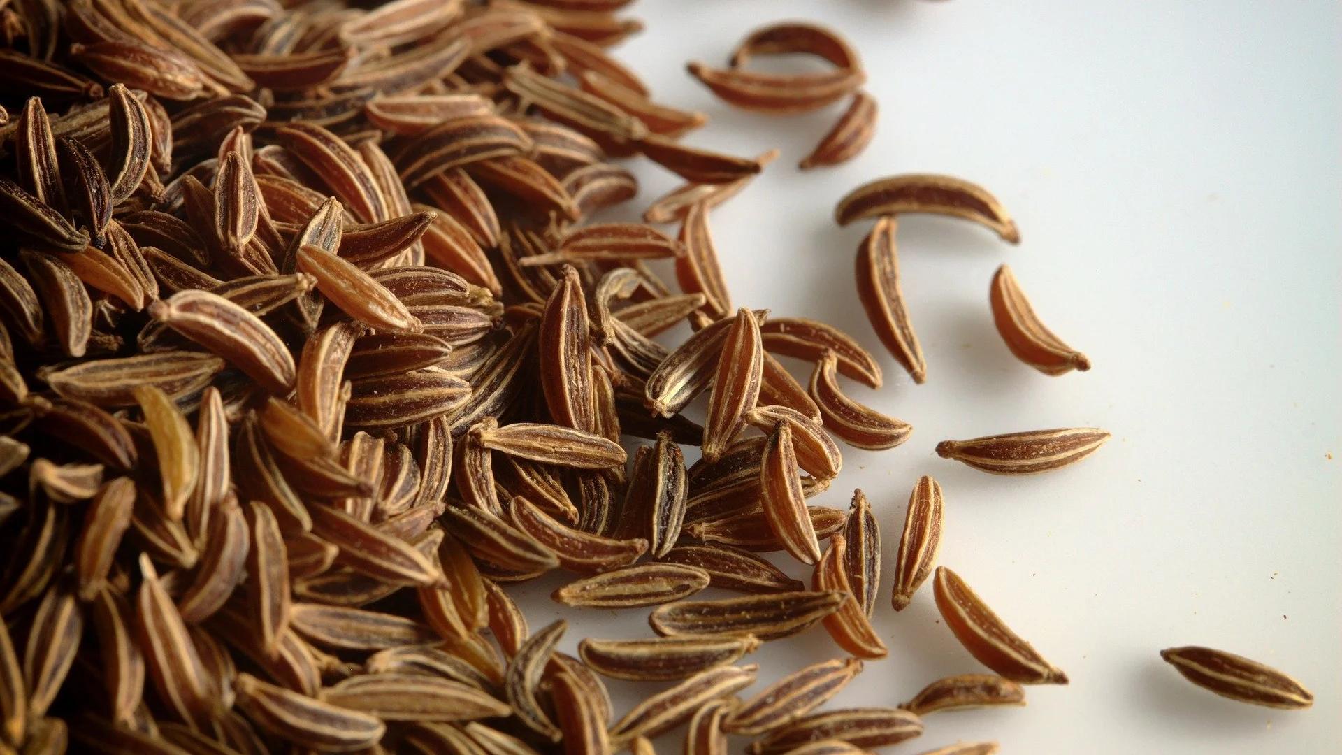 kreuzkümmel schwangerschaft - Können Schwangere Schwarzkümmelöl trinken