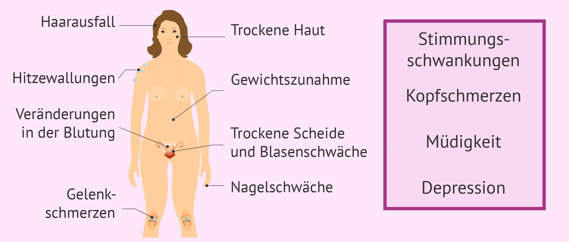 komisches gefühl im unterleib wechseljahre - Können Wechseljahre Darmbeschwerden auslösen