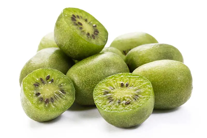 kiwi kleinkind - Sind Baby Kiwis gesund