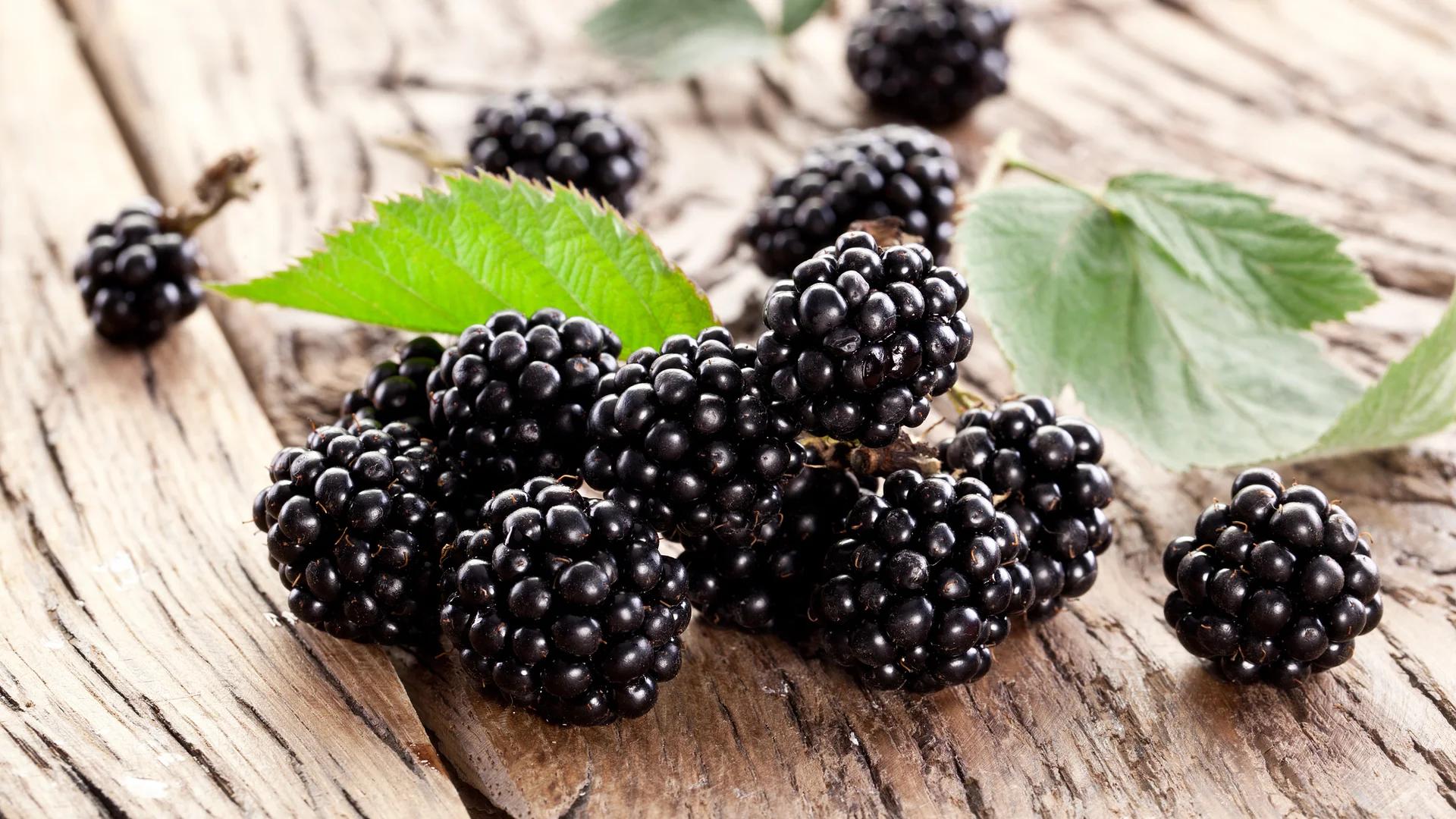 brombeeren schwangerschaft - Sind Brombeeren gut für Babys