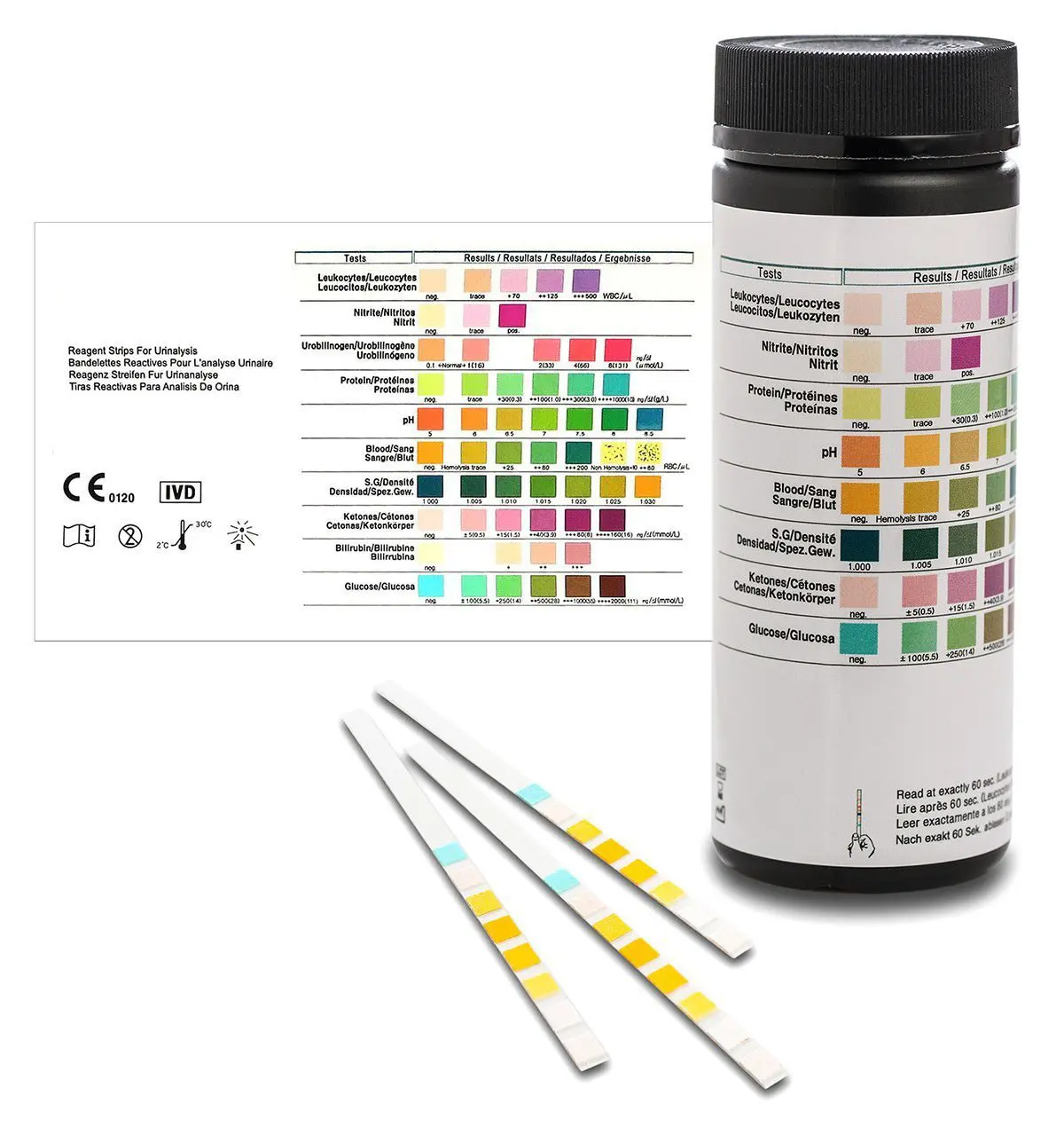 leukozyten im urin schwangerschaft - Sind Leukozyten in der Schwangerschaft gefährlich