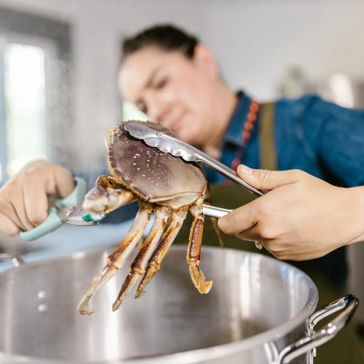 krabben schwangerschaft - Sind Nordseekrabben roh