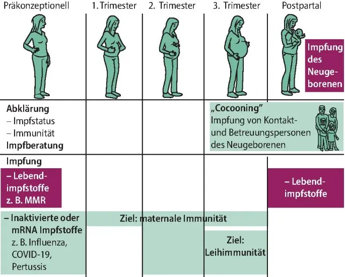 grippeimpfung schwangerschaft hebamme - Sollte man sich in der Schwangerschaft gegen Grippe impfen lassen