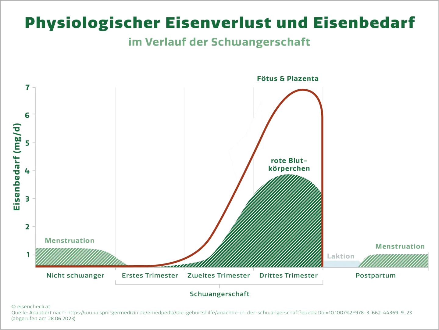 ab wann eisenmangel schwangerschaft - Wann beginnt Eisenmangel