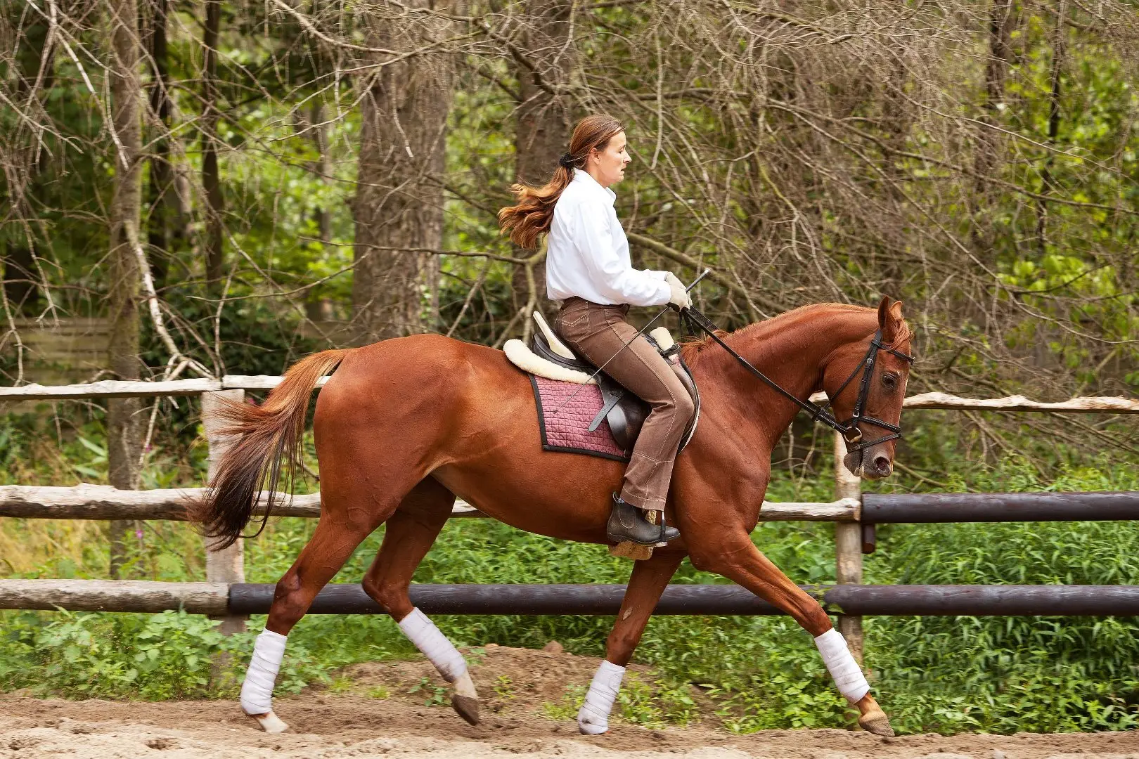beckenboden reiten geburt - Wann darf man nach der Entbindung wieder Reiten