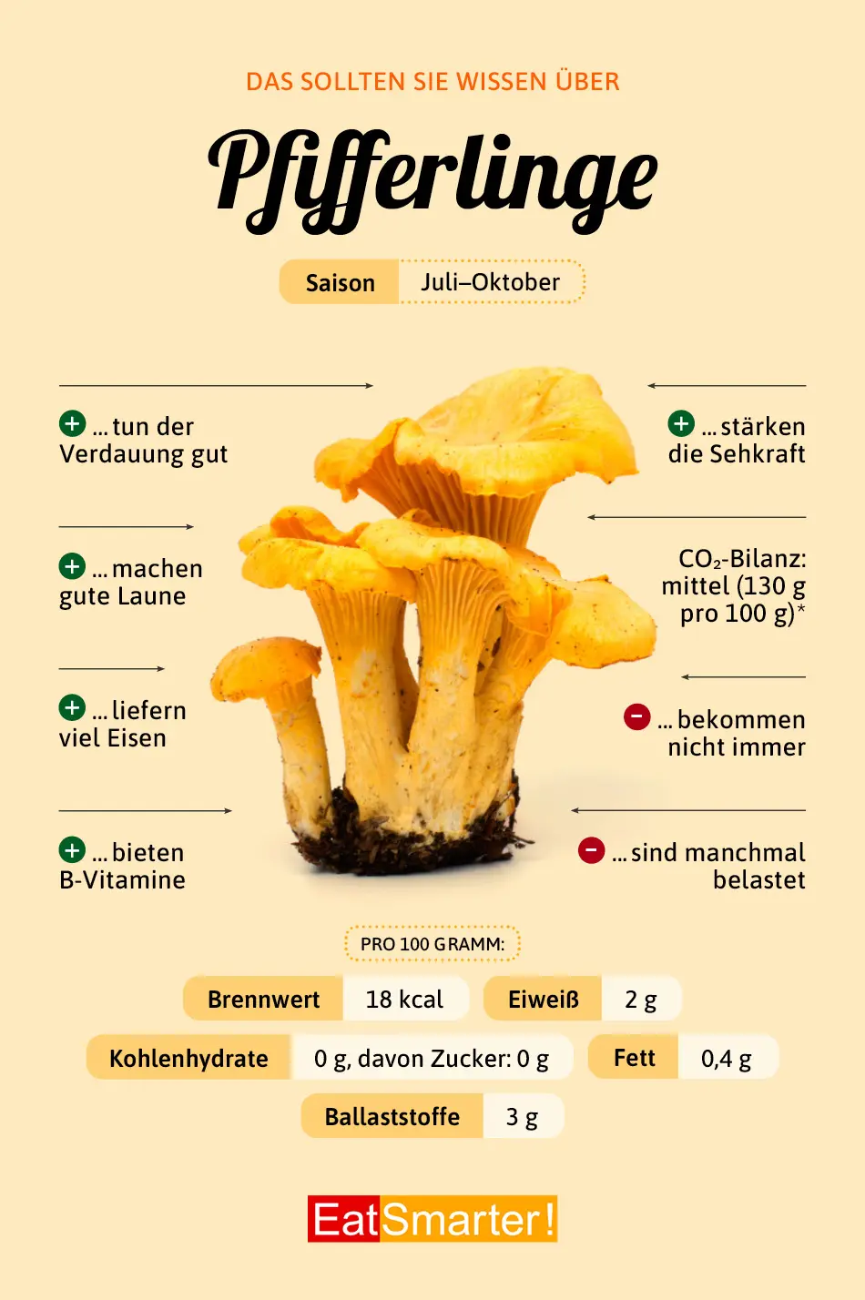 pfifferlinge schwangerschaft - Wann darf man Pfifferlinge nicht mehr essen
