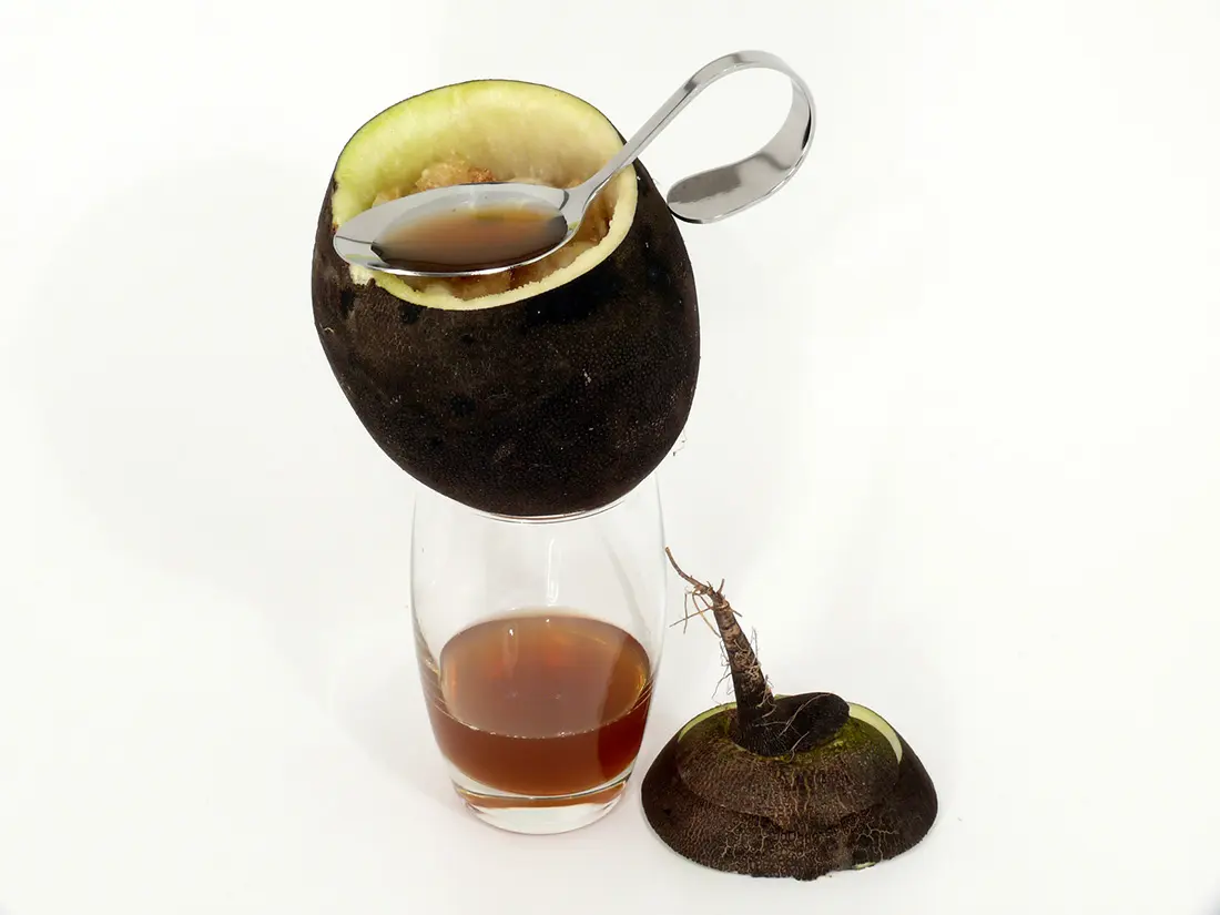 rettich schwangerschaft - Wann darf man Rettich nicht essen