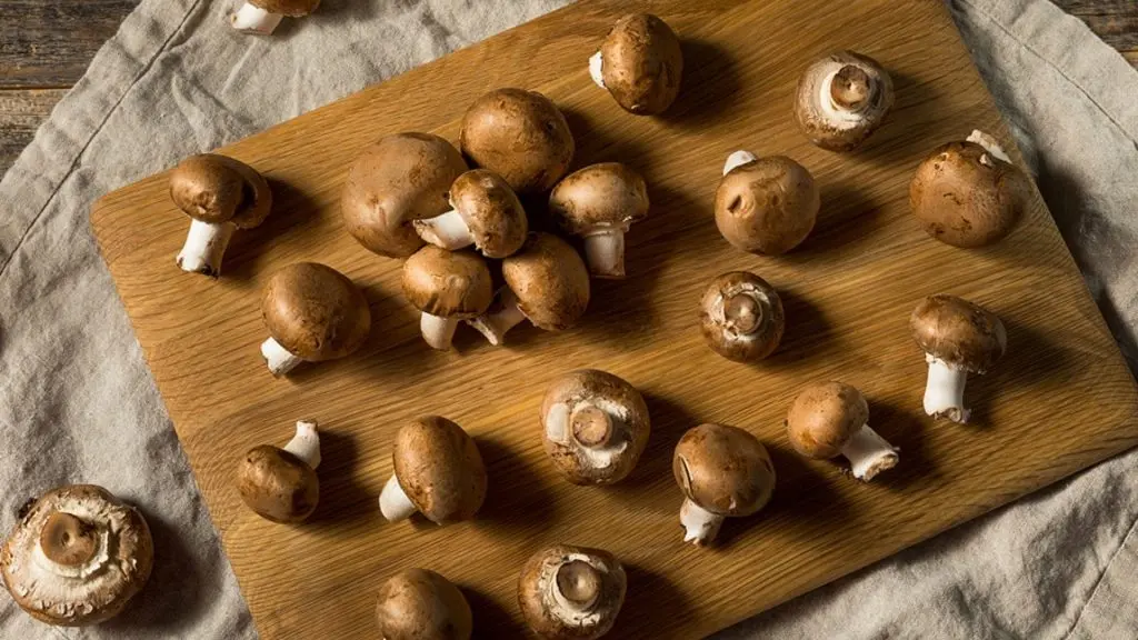 ab wann dürfen babys pilze essen - Wann dürfen Babys Pilze essen