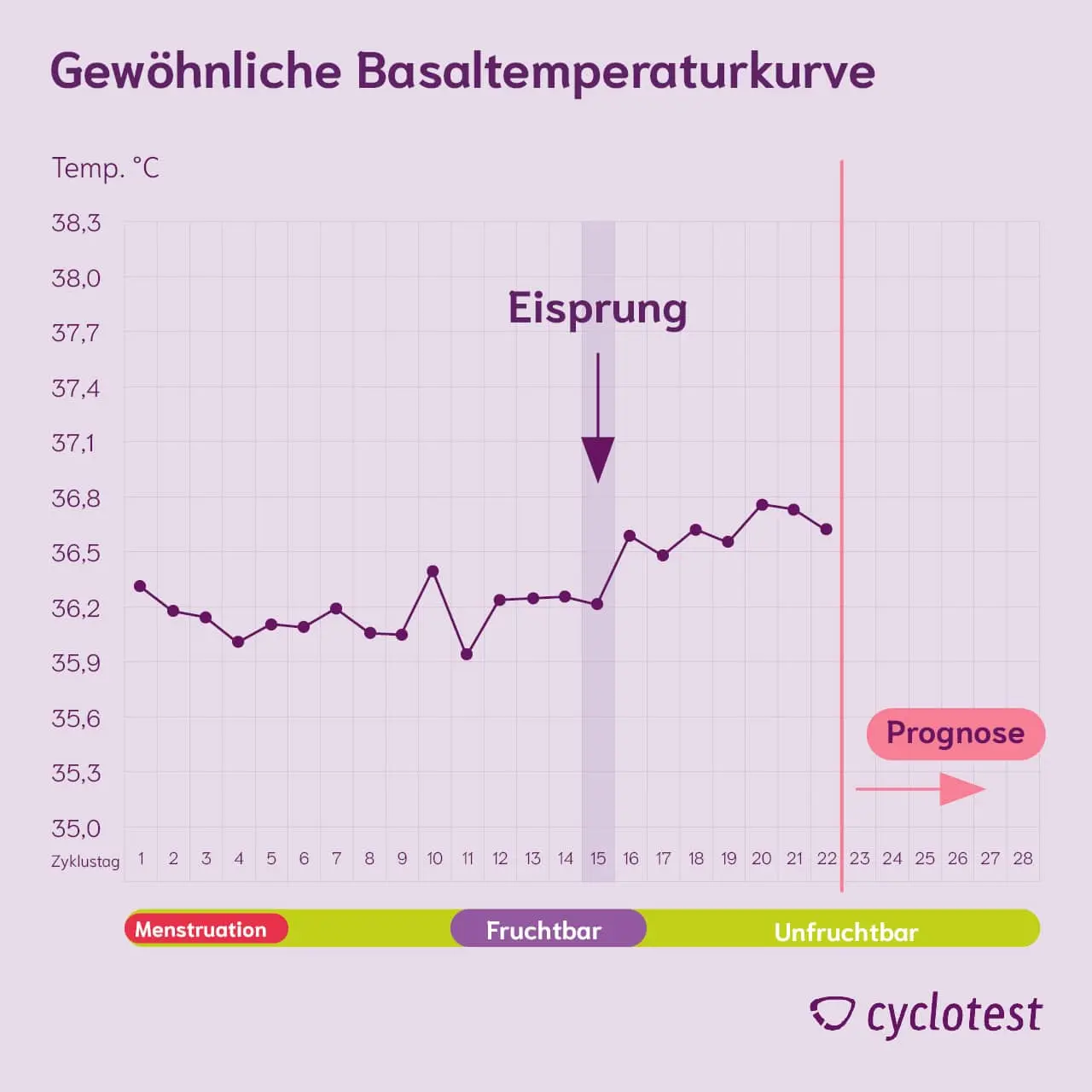 erhöhte temperatur vor geburt - Wann erhöhte Temperatur Schwangerschaft