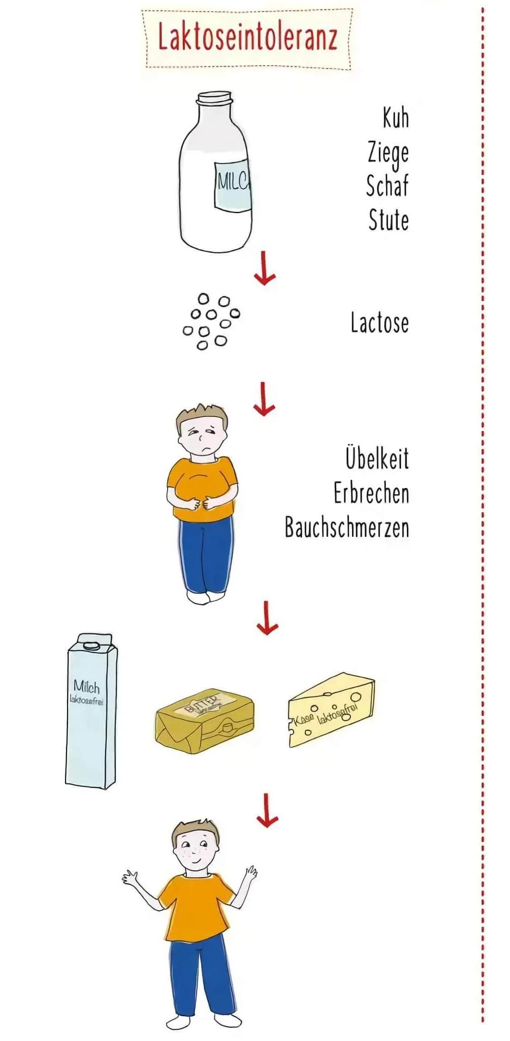 laktoseintoleranz bei kleinkindern - Wann fängt Laktoseintoleranz an