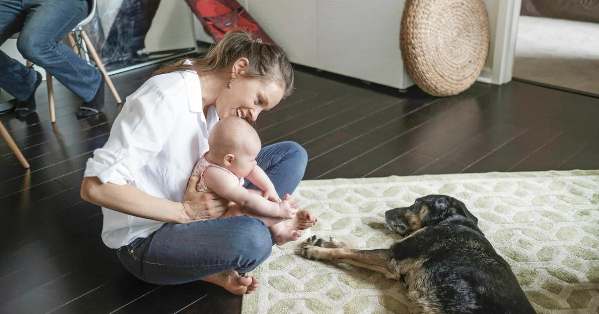 hunde an babys gewöhnen - Wann gewöhnt sich Hund an Baby