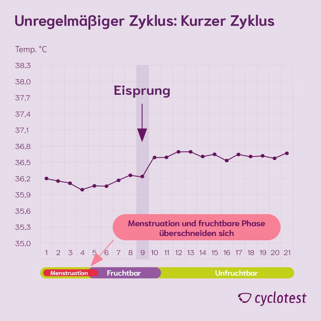 eisprung berechnen unregelmäßiger zyklus - Wann ist der Eisprung bei einem unregelmäßigen Zyklus