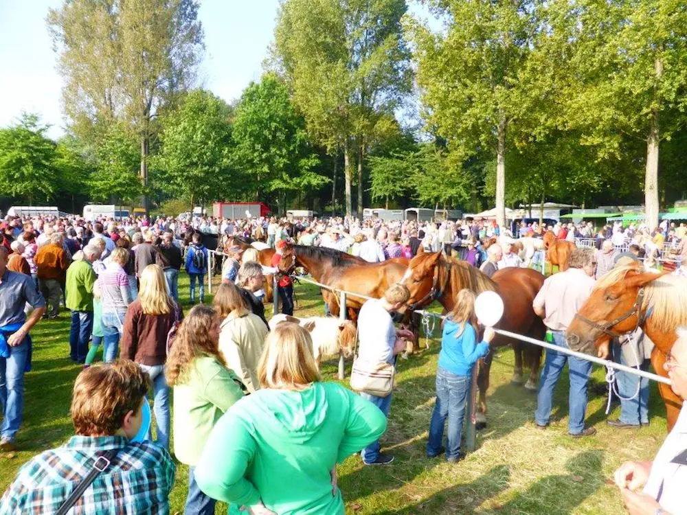 maria geburt markt telgte - Wann ist der Mariä Geburtsmarkt in Telgte