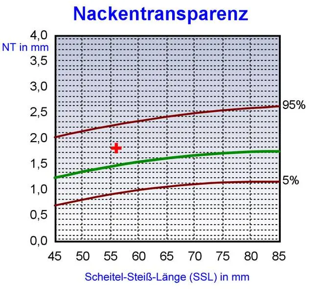 werte nackenfaltenmessung tabelle - Wann ist eine Nackenfalte auffällig