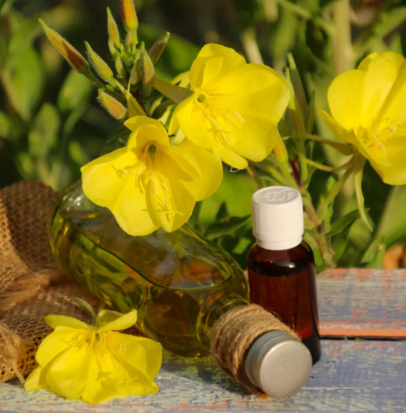 Nachtkerzenöl in der Schwangerschaft: Was Sie wissen müssen - Wann kein Nachtkerzenöl nachtkerzenöl schwangerschaft - Wann kein Nachtkerzenöl