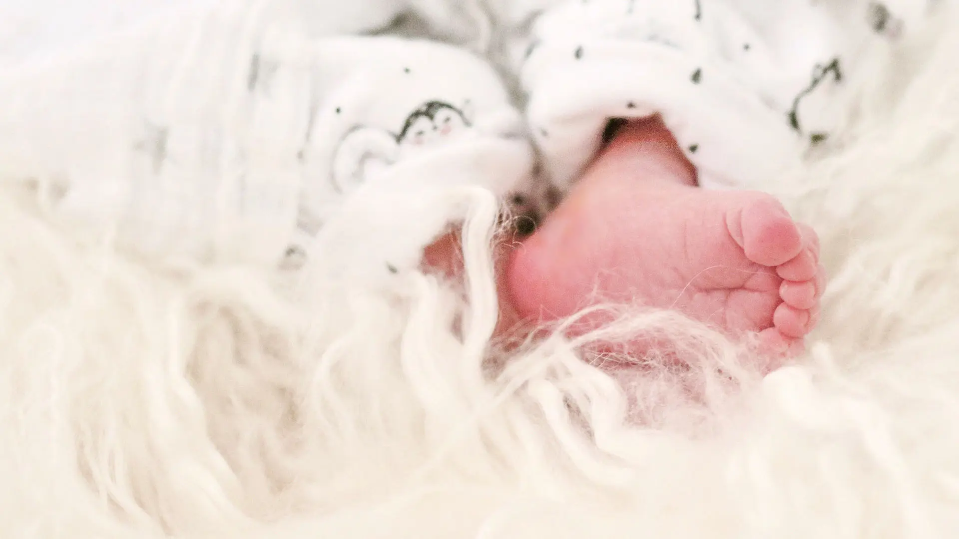 bio fettwolle anwendung - Wann Keine Heilwolle