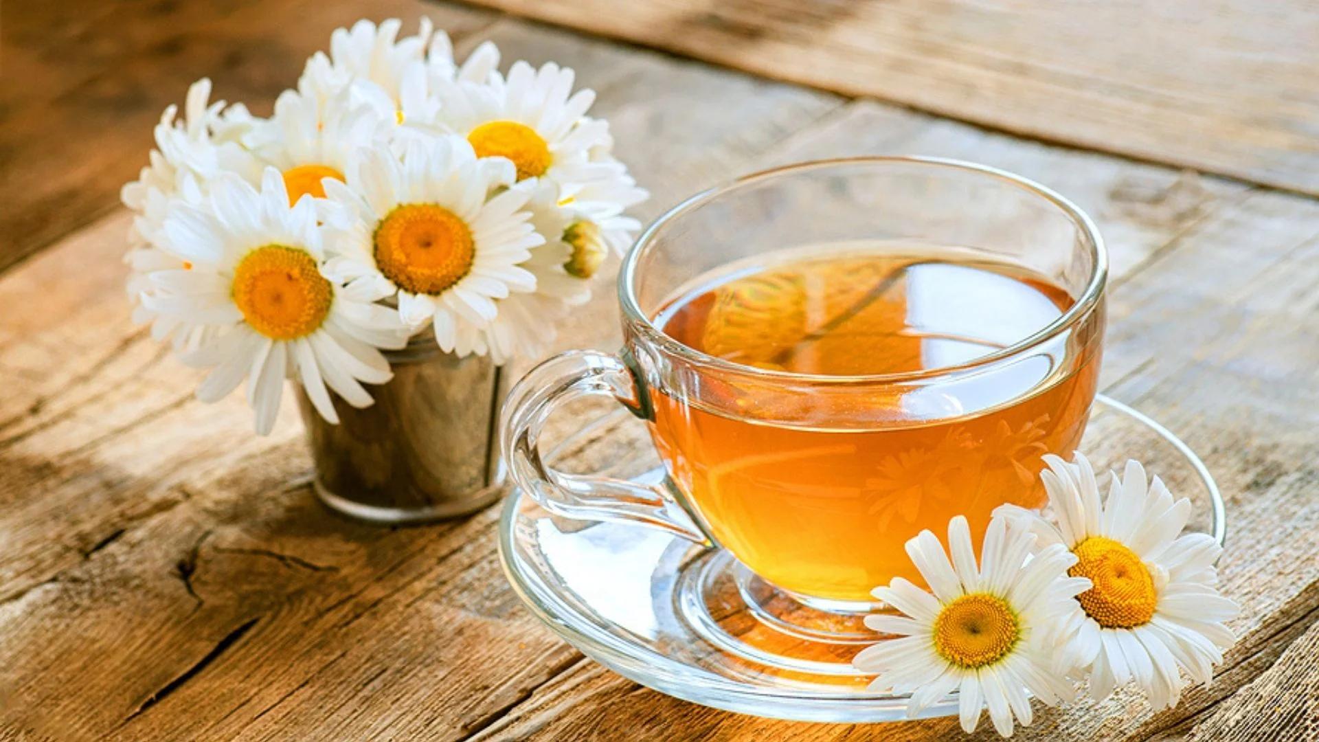 kamillentee schwangerschaft - Wann keinen Kamillentee trinken