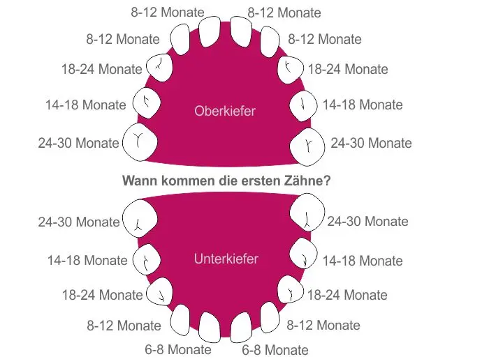 wann fangen babys an zu zahnen - Wann schießen die ersten Zähne ein
