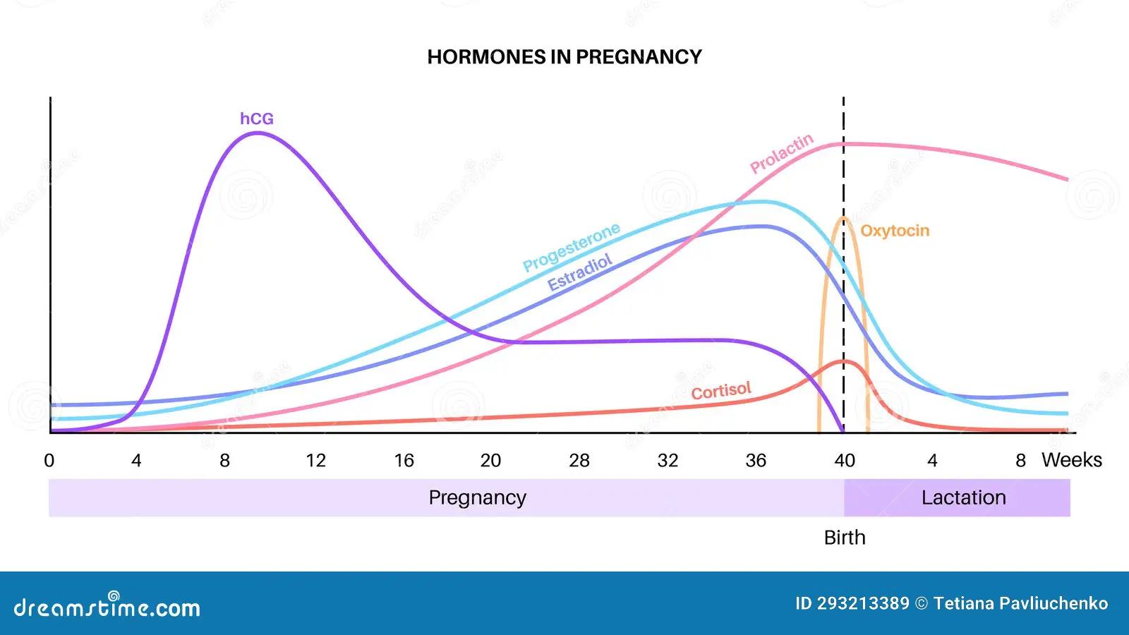hormone schwangerschaft kurve - Wann sind die Schwangerschaftssymptome am stärksten