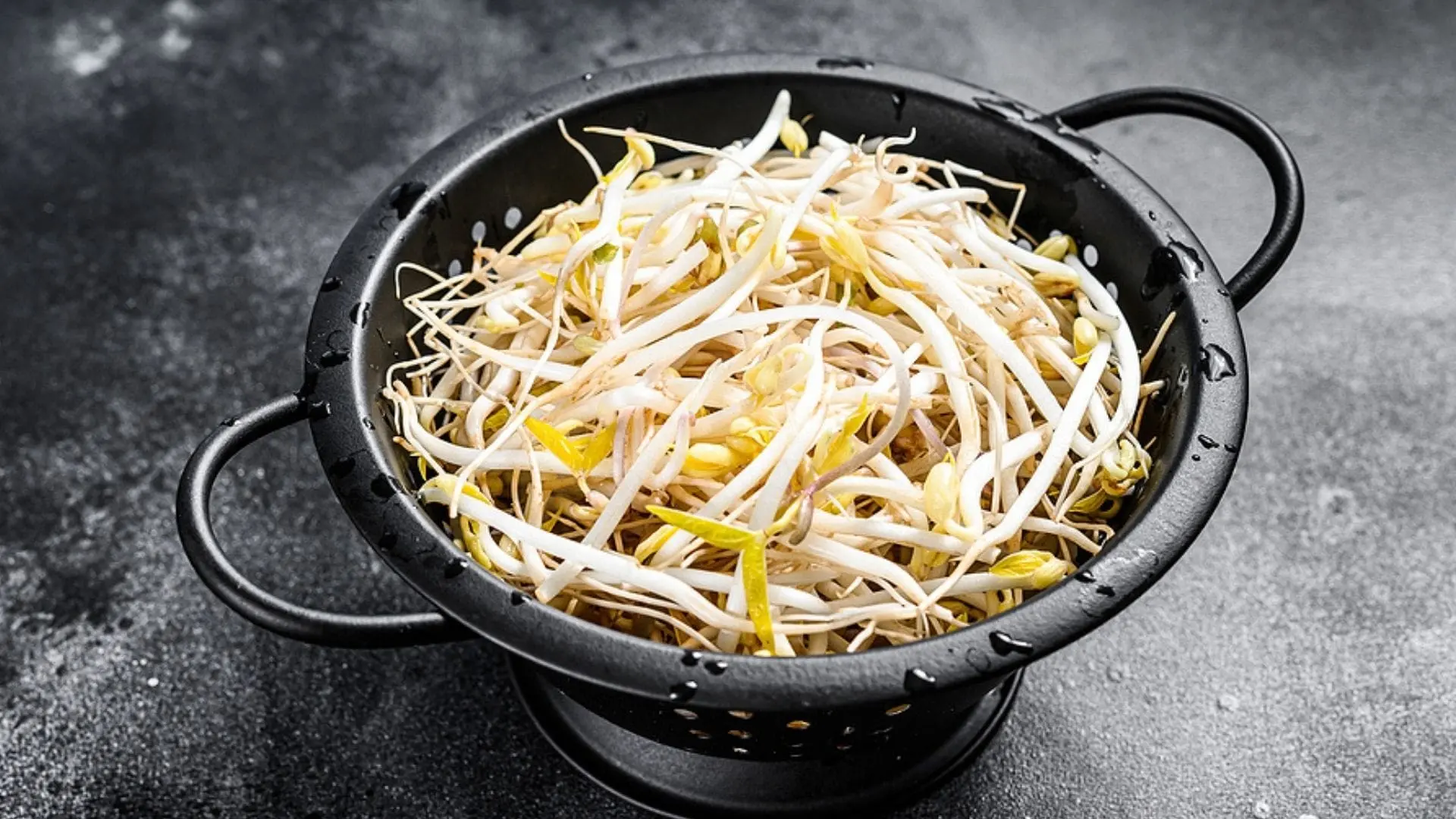 Mungobohnensprossen in der Schwangerschaft: Was Sie wissen sollten - Wann sollte man Sprossen nicht mehr essen mungobohnensprossen schwangerschaft - Wann sollte man Sprossen nicht mehr essen