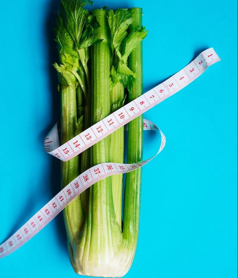 Staude Sellerie in der Schwangerschaft: Was Sie wissen müssen - Wann sollte man Staudensellerie nicht mehr Essen staudensellerie schwangerschaft - Wann sollte man Staudensellerie nicht mehr Essen