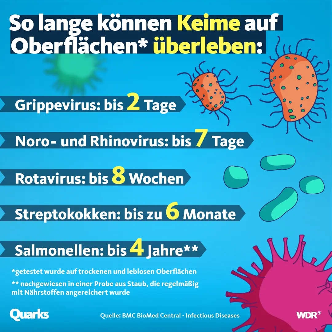 wann sterben salmonellen - Wann sterben Salmonellen in Eiern ab