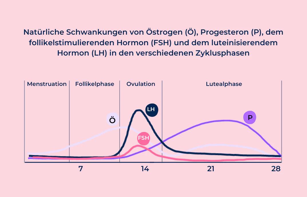 hormone zyklus schwangerschaft - Wann verändern sich Hormone nach Befruchtung