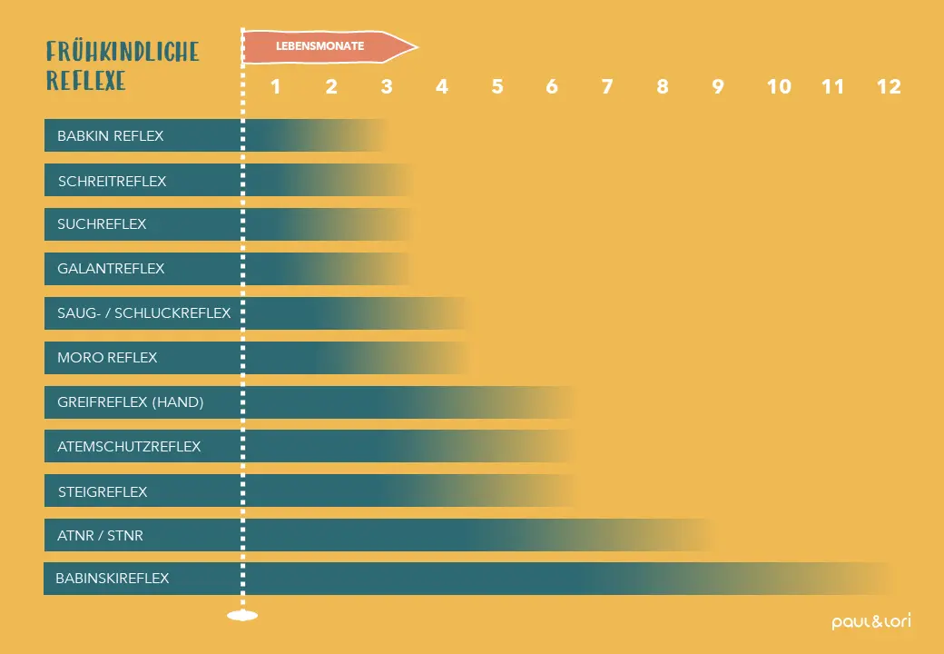 reflexe nach der geburt - Wann verschwindet Babinski Reflex
