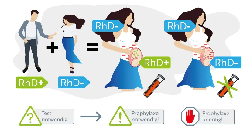 rhesusfaktoren schwangerschaft - Wann wird der Rhesusfaktor zum Problem