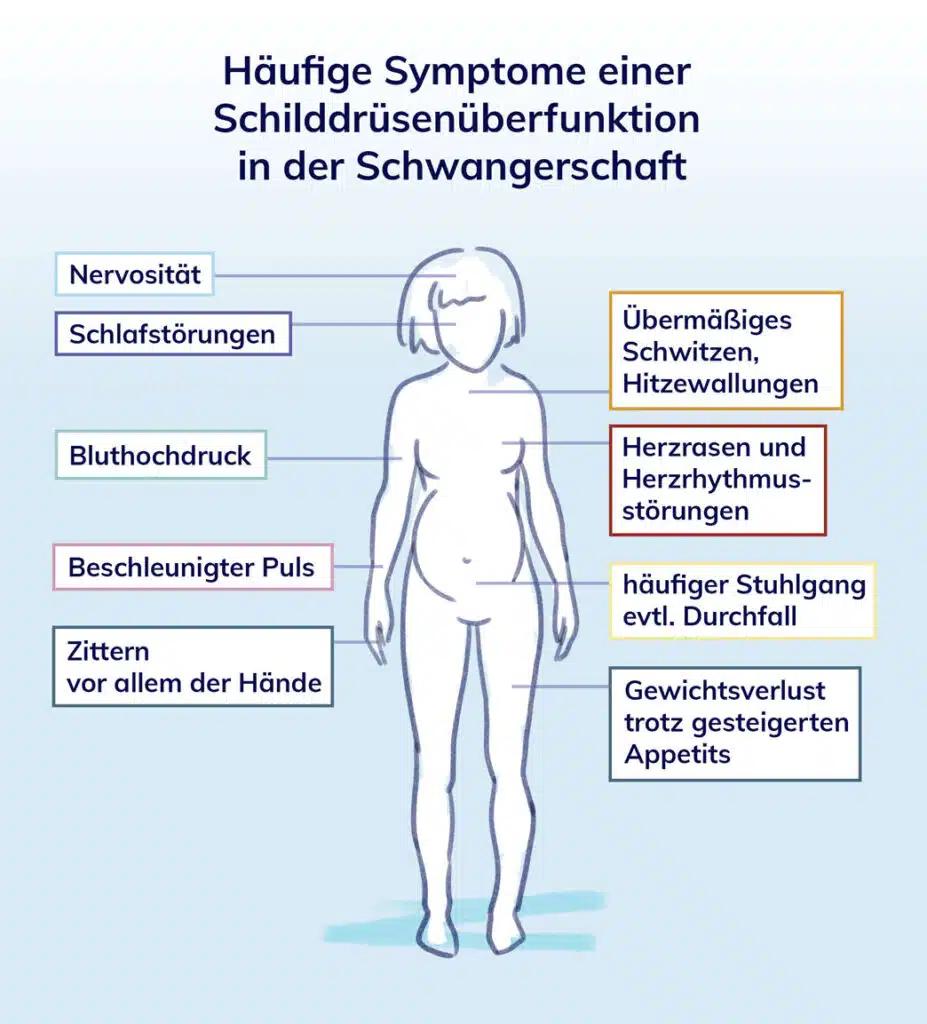 tsh-wert zu hoch schwangerschaft folgen - Wann wird der TSH-Wert gefährlich