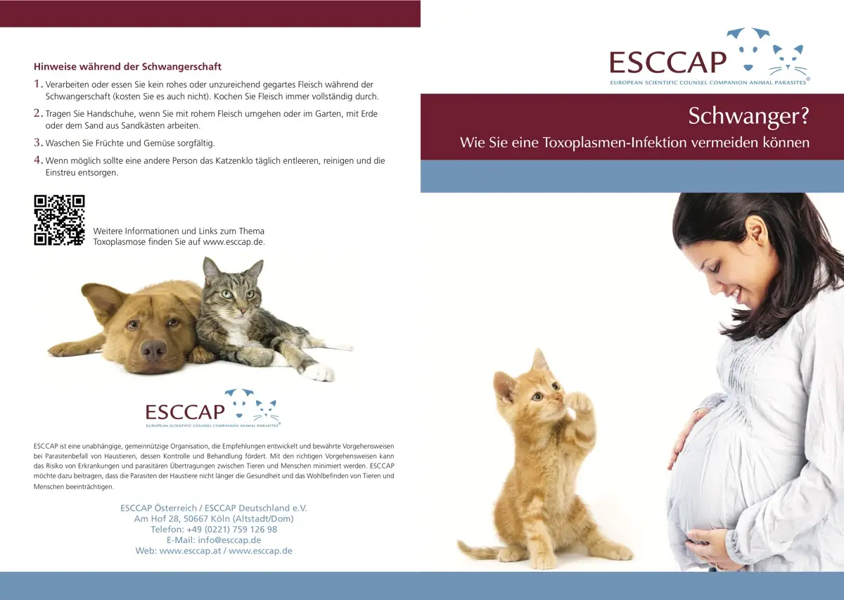 katzenkot schwangerschaft - Warum darf man als Schwangere das Katzenklo nicht sauber machen