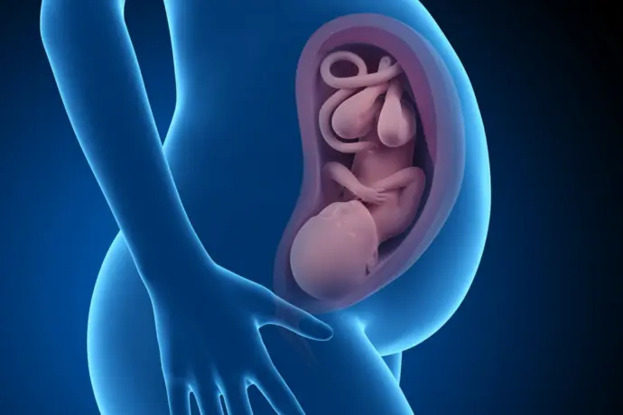 durchfall ende schwangerschaft - Warum Durchfall 38 SSW