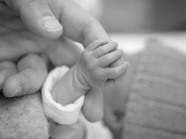 stille geburt ursachen - Warum entwickelt sich ein Embryo nicht weiter