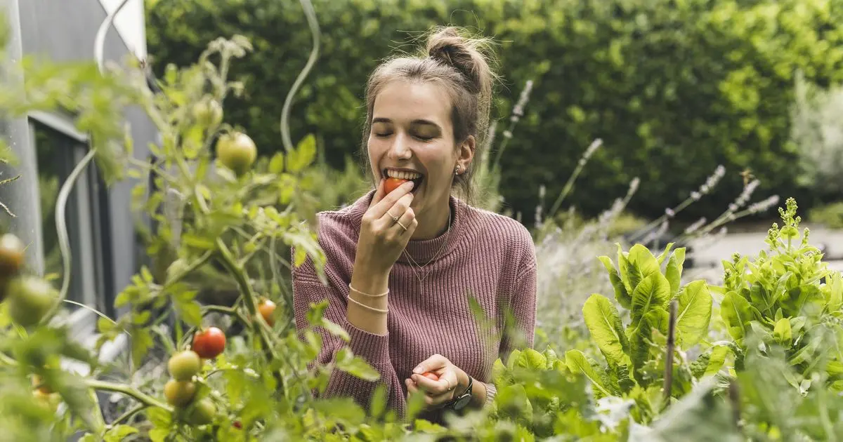 tomate schwangerschaft - Warum habe ich Heißhunger auf Tomaten