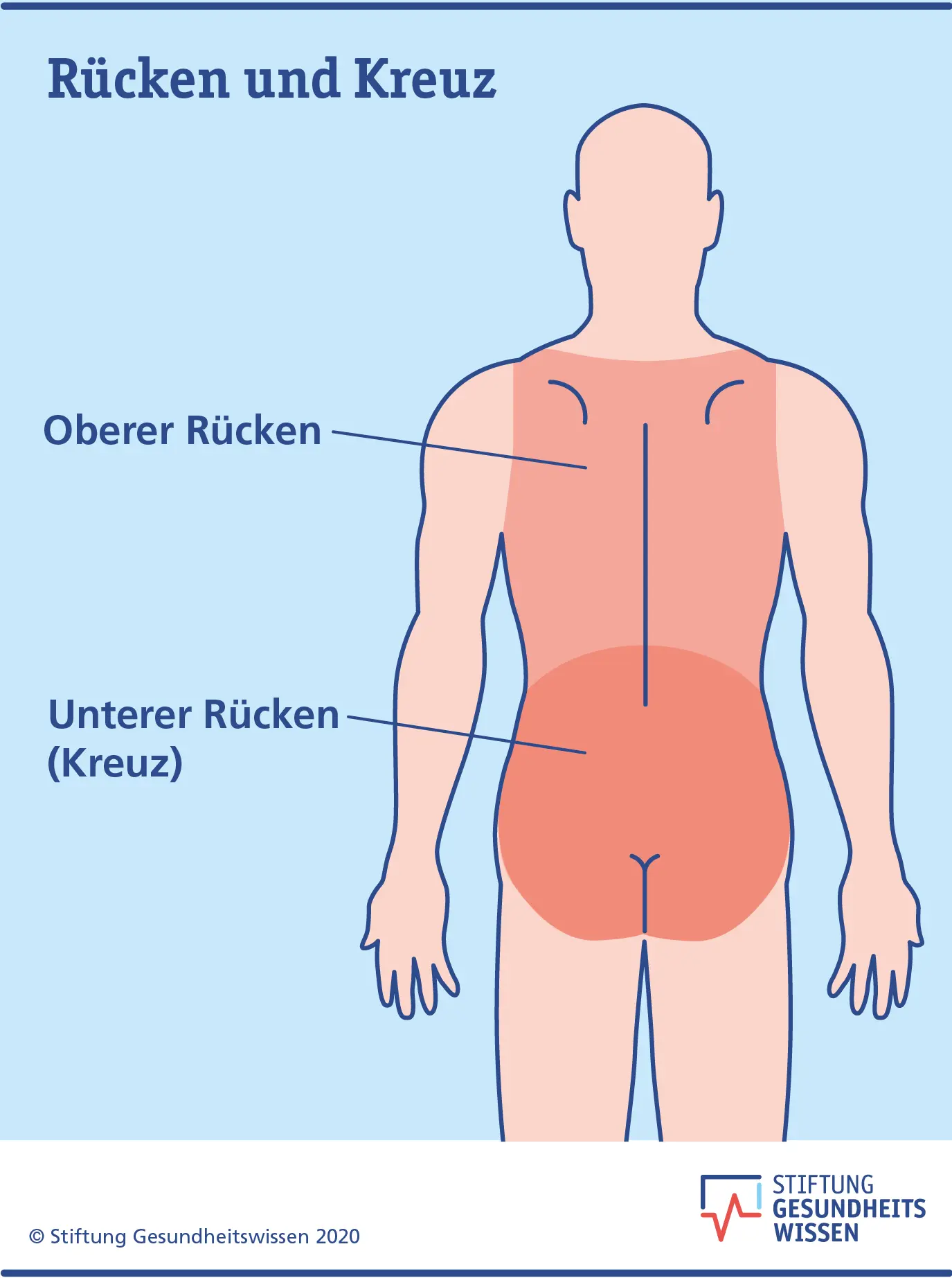 erkältung und rückenschmerzen - Warum hat man bei einer Erkältung Rückenschmerzen