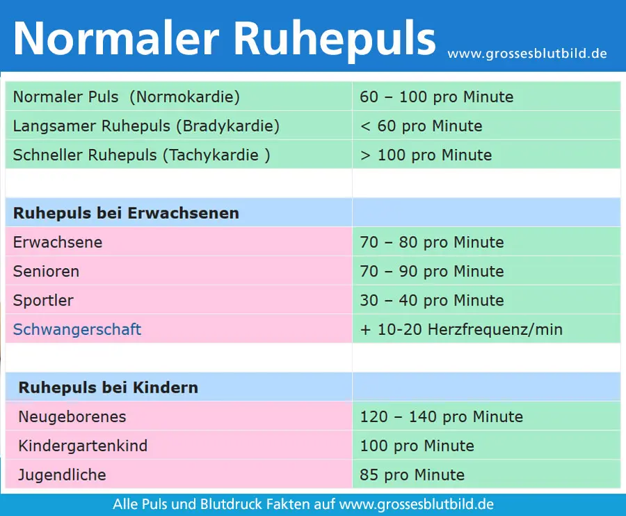 Ruhepuls in der Schwangerschaft: Was ist normal und wann sollte man sich Sorgen machen? - Warum hoher Puls in der Frühschwangerschaft ruhepuls schwangerschaft - Warum hoher Puls in der Frühschwangerschaft