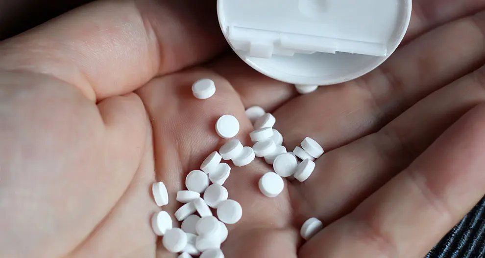 stevia schwangerschaft - Warum kein Stevia