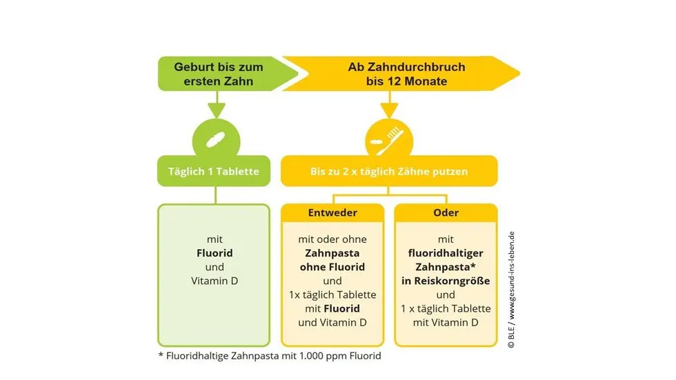 fluorid baby ja oder nein - Warum keine Fluoretten mehr