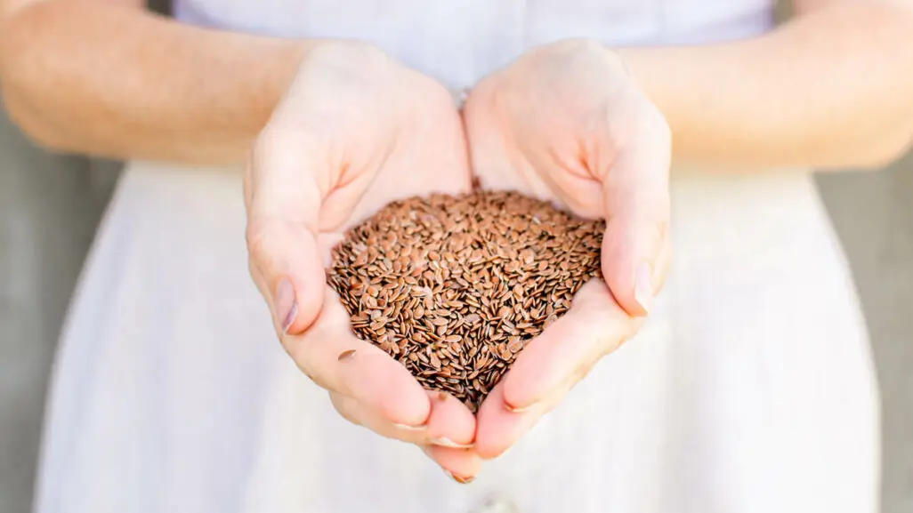 leinsamen geburt - Warum keine Leinsamen in der Schwangerschaft
