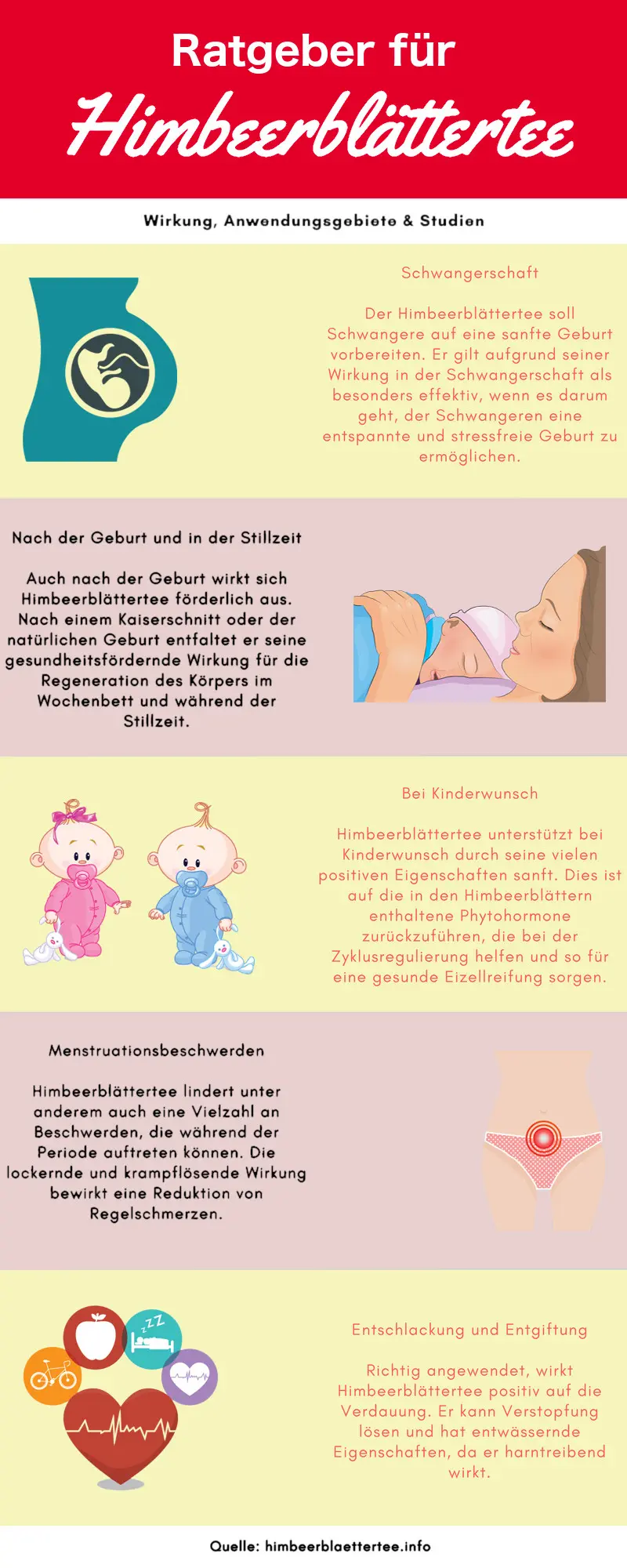 himbeerblättertee schwangerschaft studie - Warum muss man mit Himbeerblättertee pausieren