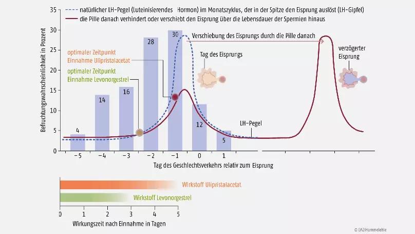pille danach stillzeit - Warum nach Pille danach nicht stillen