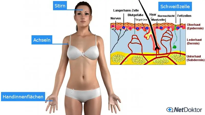 wie viel schwitzt man nachts - Warum schwitzt man nachts so