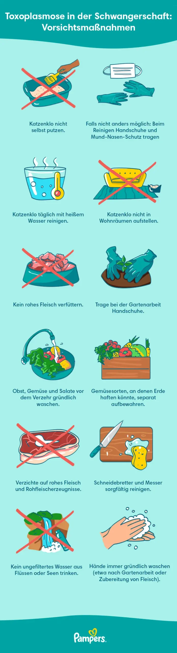 schwangerschaft katzenklo - Warum sollten sich Schwangere von Katzen fernhalten