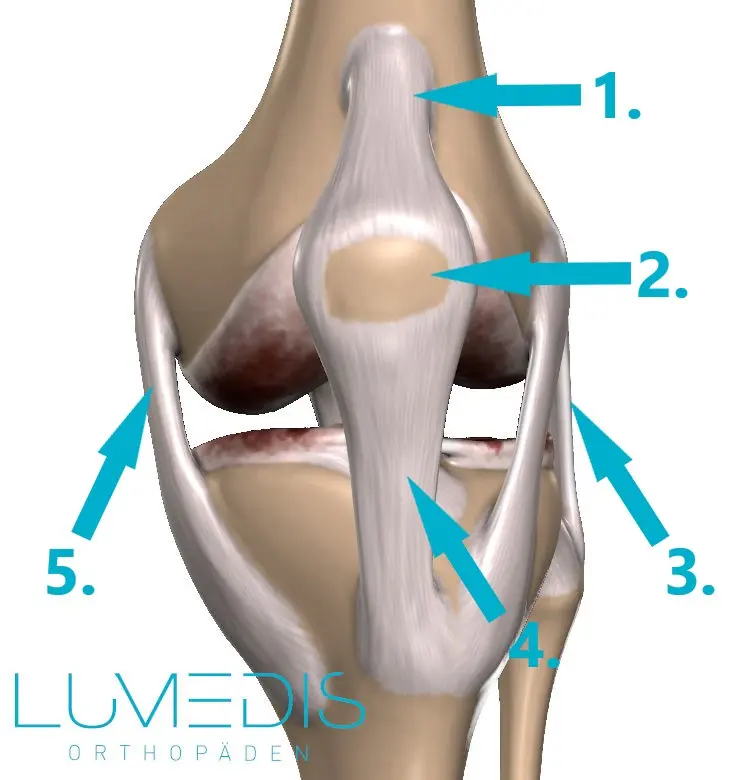 sehnenschmerzen überall - Warum tun mir alle sehnen weh