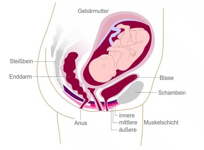 blasenschmerzen nach geburt - Warum tut meine Blase so weh