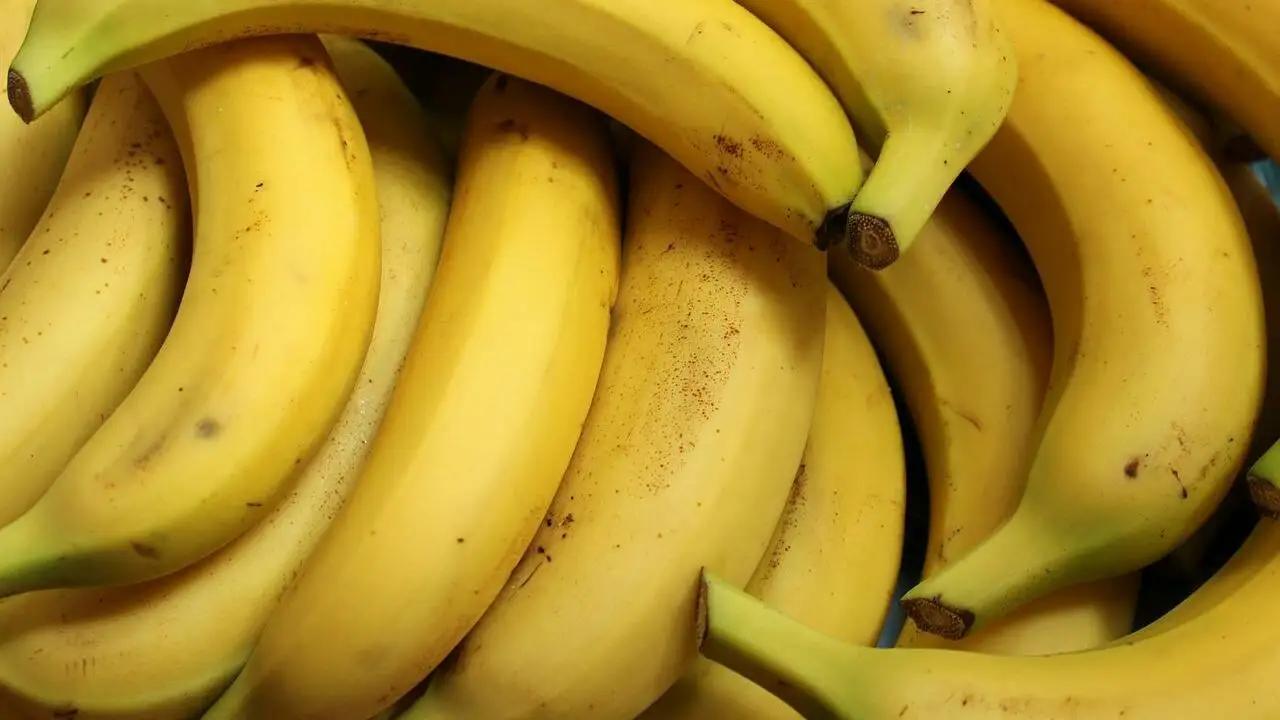 histamin bananen - Warum vertrage ich plötzlich keine Bananen mehr