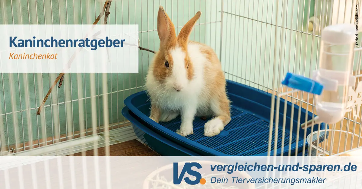 stuhlgang kleine kugeln mit schleim - Was bedeuten kleine köttel