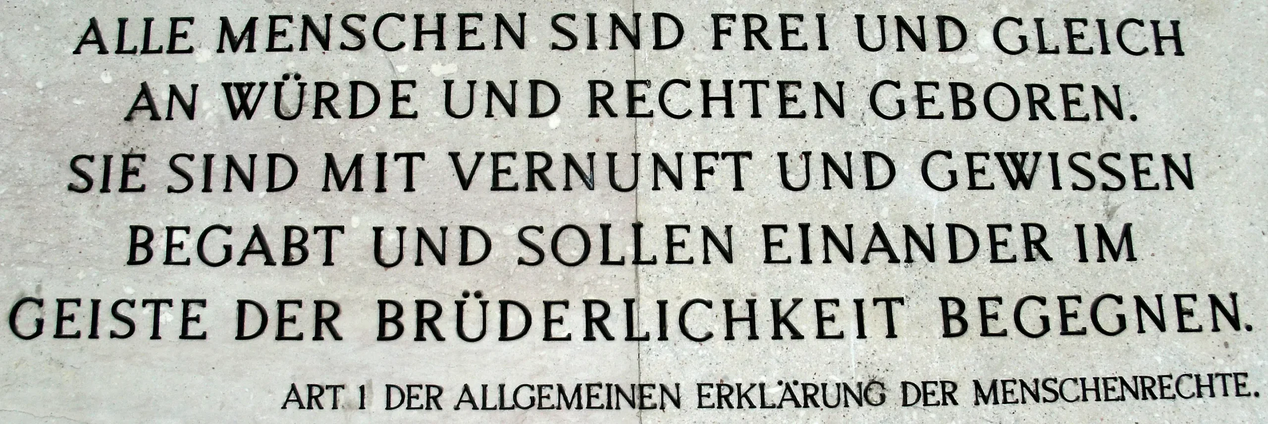 alle menschen sind von geburt an gleich und frei - Was bedeutet Alle Menschen sind frei und gleich an Würde und Rechten geboren