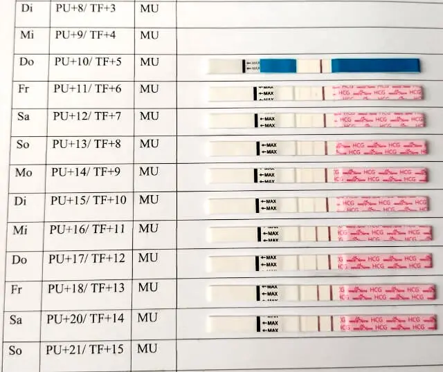 schwangerschaft testreihe - Was bedeutet bei clearblue 2 3